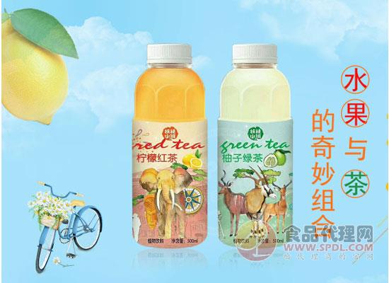 梦阳饮品图片 梦阳饮品图片
