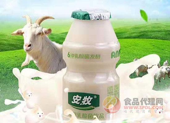 安牧发酵型乳酸菌饮品 安牧发酵型乳酸菌饮品