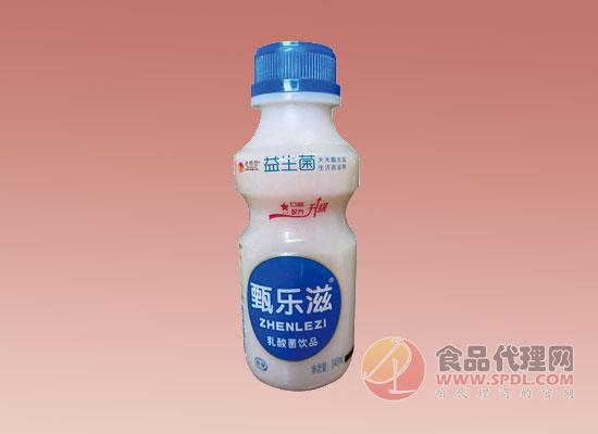 甄乐滋乳酸菌饮品 甄乐滋乳酸菌饮品