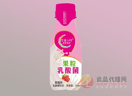 幸福小样果粒乳酸菌饮品 幸福小样果粒乳酸菌饮品