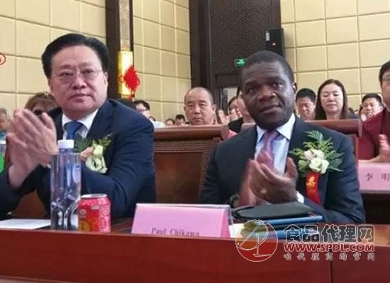 牵手果蔬汁助力非洲联盟活动 牵手果蔬汁助力非洲联盟活动