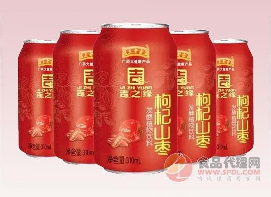枸杞山枣发酵植物饮品 枸杞山枣发酵植物饮品