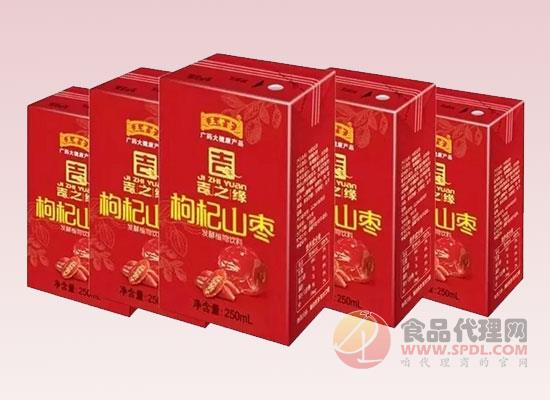 枸杞山枣发酵植物饮品 枸杞山枣发酵植物饮品