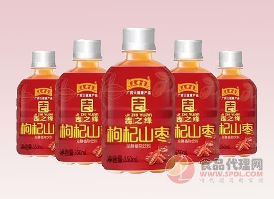 枸杞山枣发酵植物饮品 枸杞山枣发酵植物饮品