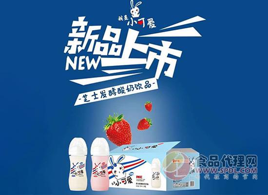 明畅芝士发酵酸奶饮品 明畅芝士发酵酸奶饮品