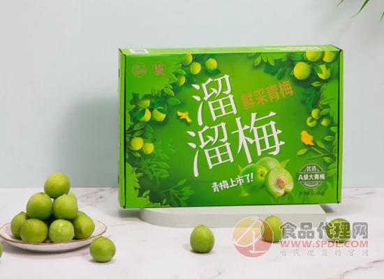 鲜采青梅礼盒 鲜采青梅礼盒