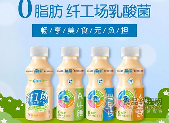维维乳酸菌 维维乳酸菌
