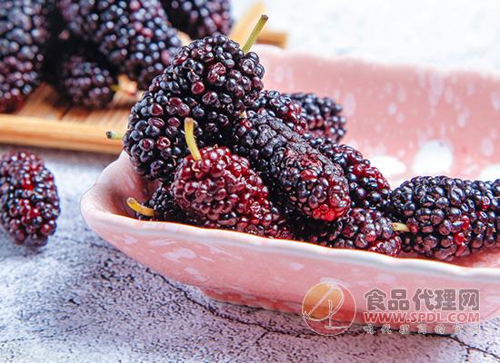 桑葚不能和什么一起吃,桑葚的食用禁忌介绍-食品代理网