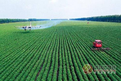 关于粮食安全战略 走出中国特色之路