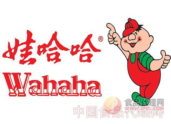 娃哈哈正在寻找海外收购