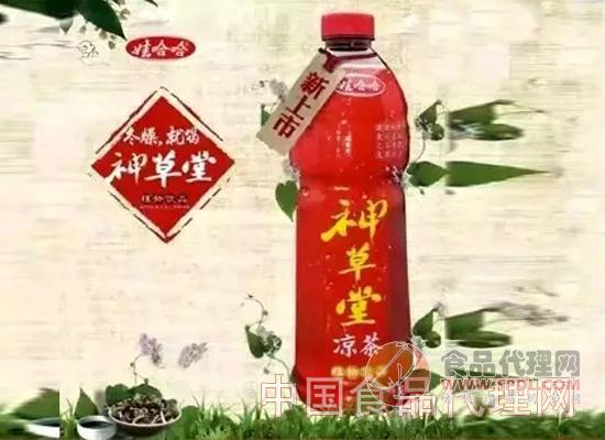 娃哈哈推大瓶神草堂凉茶新品