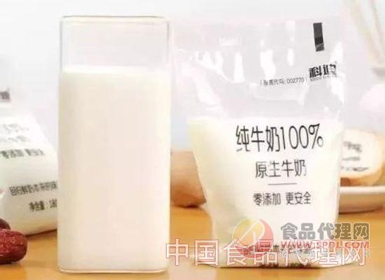 小白奶 小白奶