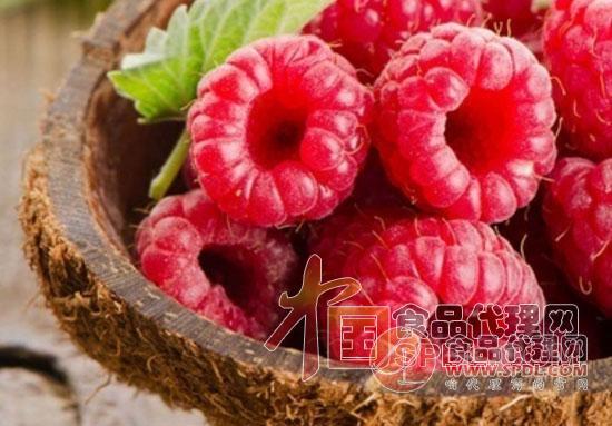 树莓 树莓