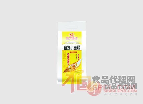 博大掛面 博大掛面