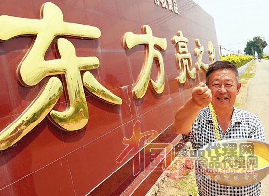 广灵小米 广灵小米