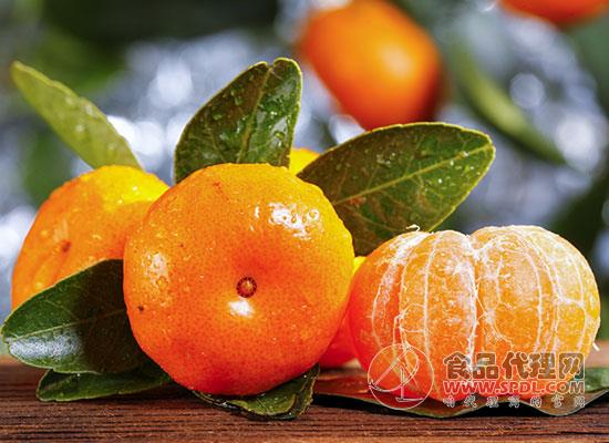 蜜橘和砂糖橘的區別，哪種更好吃
