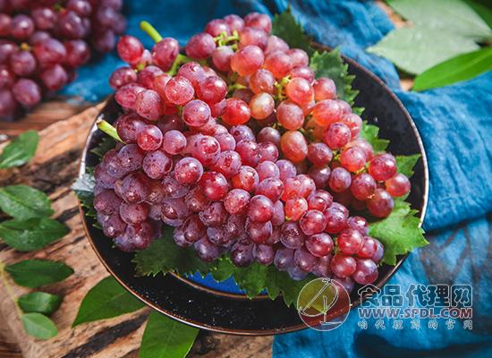 紅提和普通葡萄有什么區別，主要在哪些方面呢