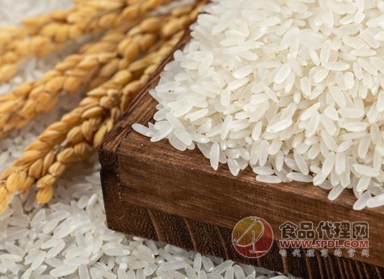 粳米是大米嗎，粳米和大米的區別
