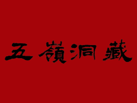 安徽五岭洞藏酒业有限公司