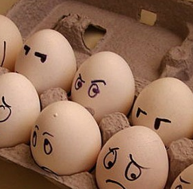 郑州鸡蛋价格呈持续走低态势运行