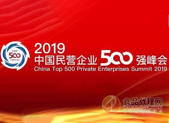 2019年中国民营企业500强报告图片