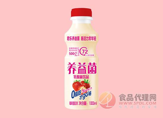 养益菌乳酸菌饮品草莓味