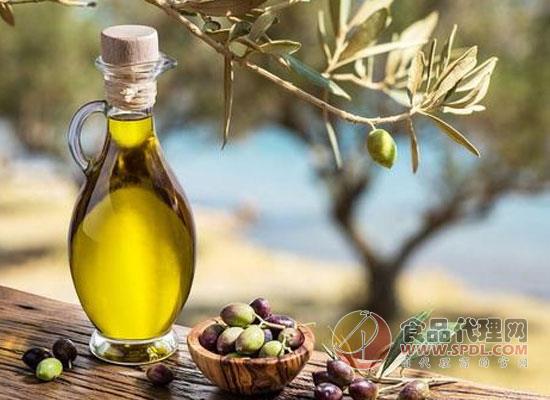 食用橄榄油的作用有哪些