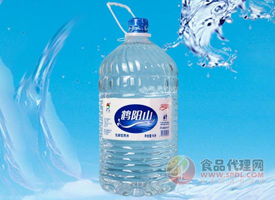 鹤阳山泉包装饮用水