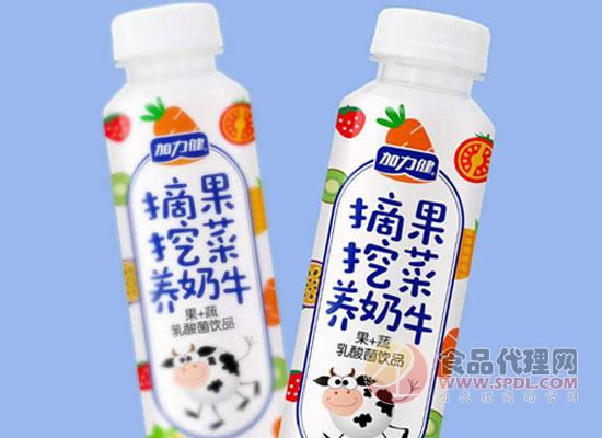 加力健摘果挖菜养奶牛果蔬乳酸菌饮品