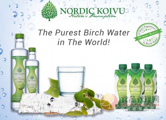 天然樺樹水 Nordic Koivu Birch Water