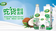 广东台椰食品有限公司