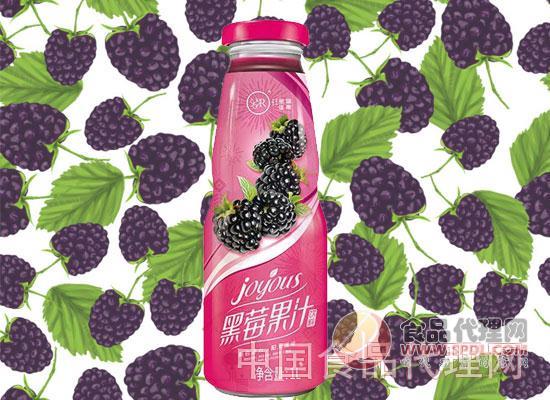 黑莓果汁饮料