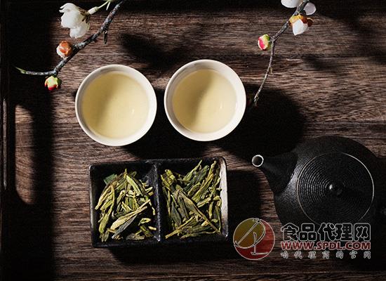 如何辨识中国的传统茶类，快来一起学习茶知识