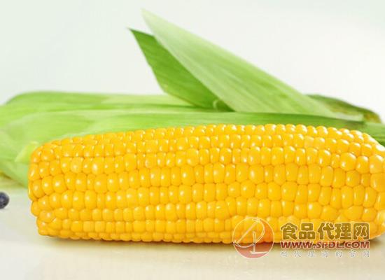 東北農嫂水果玉米怎么樣，營養健康，吃法多樣