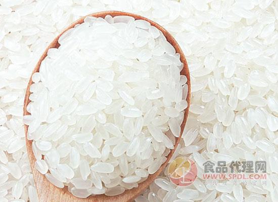 十月稻田长粒香大米的价格，长粒香米，一年一季