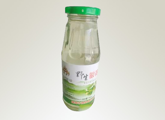 珠海市博皇食品饮料公司携植物饮料与经销商共创发展