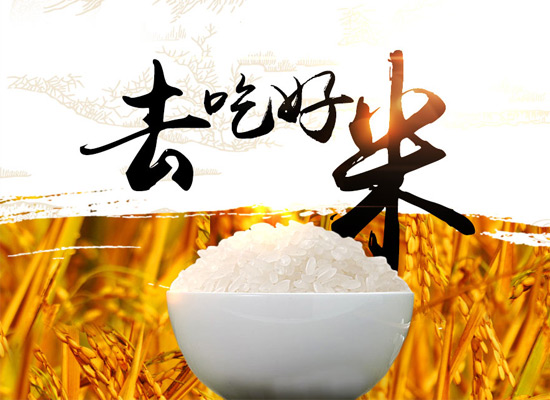 宇丰米业给大米添加溯源信息，让您吃上绿色健康米!