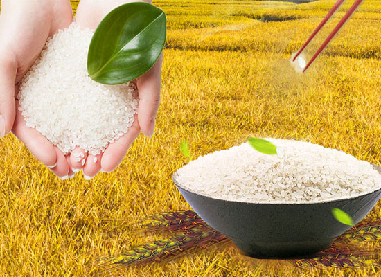 中国水稻，不断给世界带来惊喜