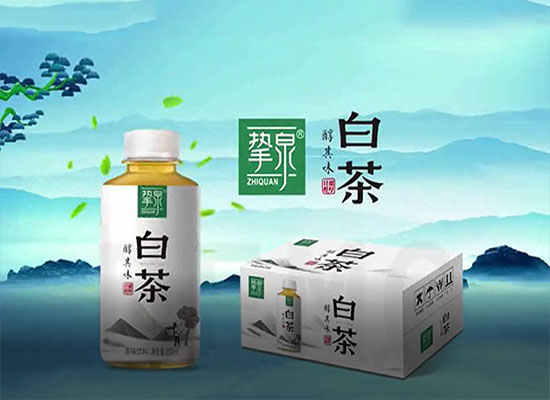 挚泉白茶坚持原叶萃取，用品质征服茶饮料市场