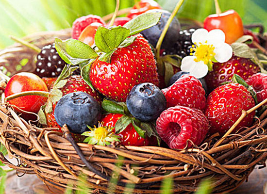 “莓”文化，真可怕，乾润食品召开黑莓、树莓、蓝莓辨认大会