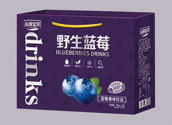 山果宝贝野生蓝莓果味饮品，精选优质蓝莓的果味饮品