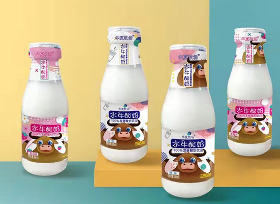 华夏牧场水牛酸奶，独特发酵的酸奶饮品