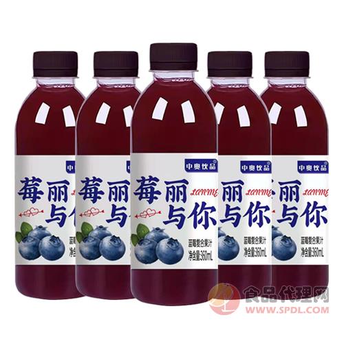 中奥蓝莓复合果汁360ml