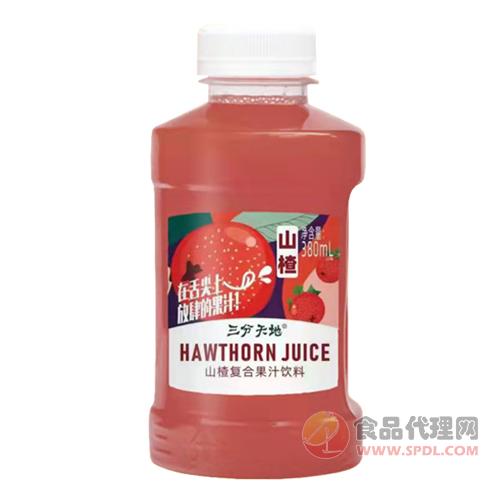 三分天地山楂复合果汁饮料380ml