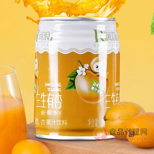 R润浪三生有杏杏果汁饮料248ml