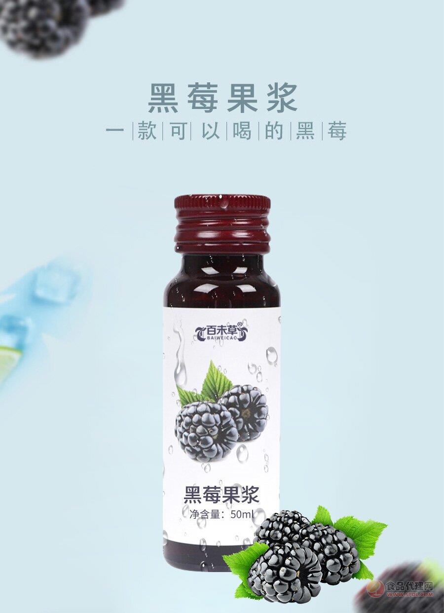 黑莓果浆饮品现货 黑莓果浆量批发50ml/瓶