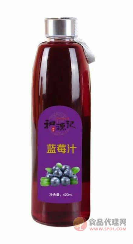 和源记蓝莓汁果汁饮料420ml
