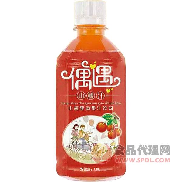 偶遇山楂汁山楂果肉果汁饮料瓶装1.18L