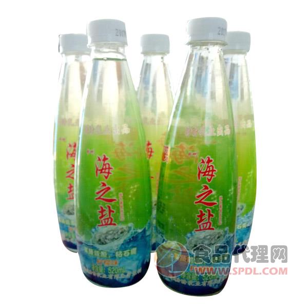 盼吧海之言维生素果味饮料520ml（绿） (3)