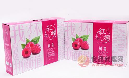 红嘎树莓果汁箱装